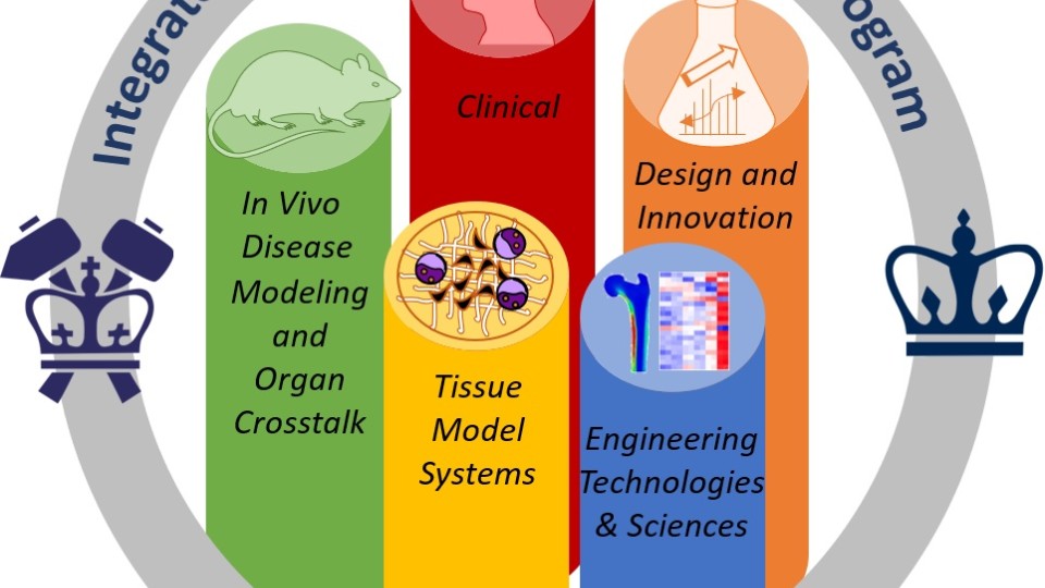 IMTP Logo