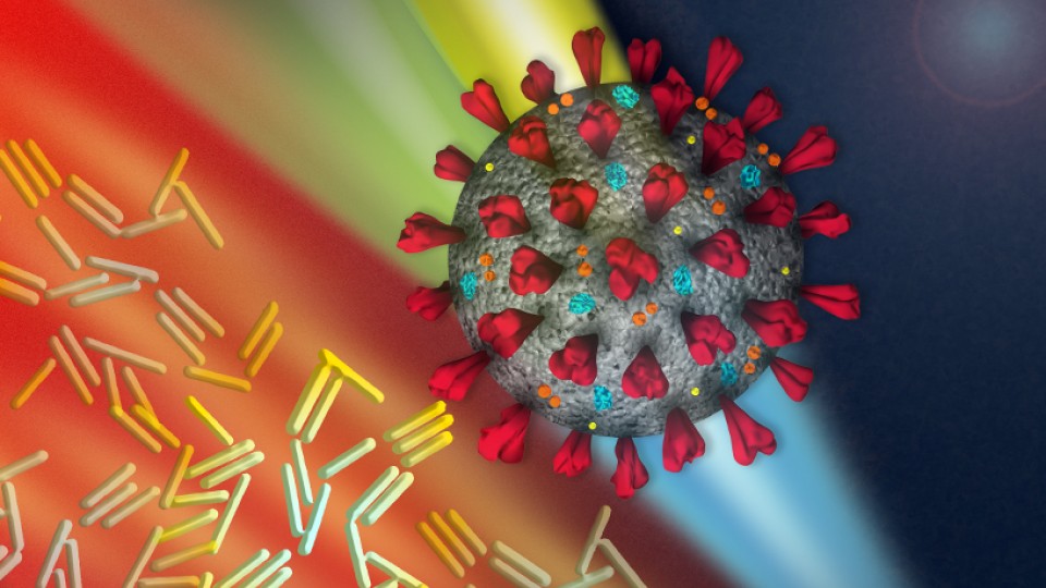 Infrared heating of plasmonic nanoparticles facilitates multiplexed reverse transcriptase quantitative PCR for rapid detection of SARS-CoV-2