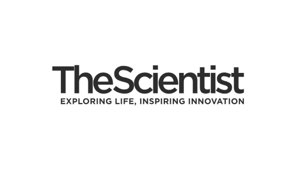 The Scientist