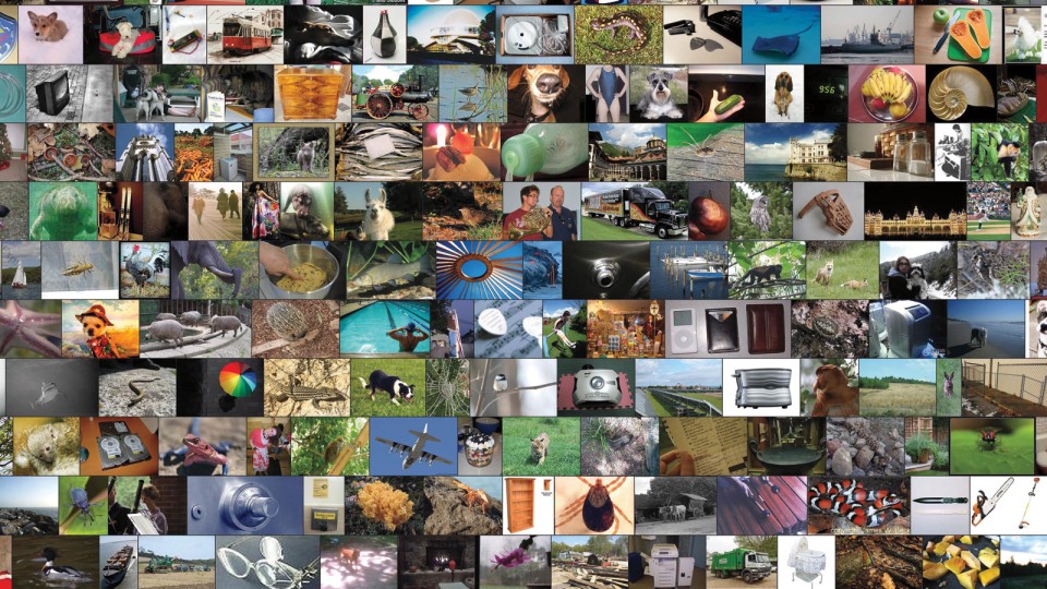 collage of photos