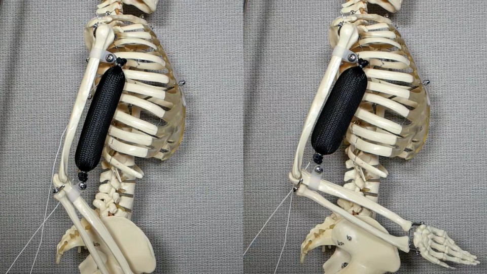 artificial muscle