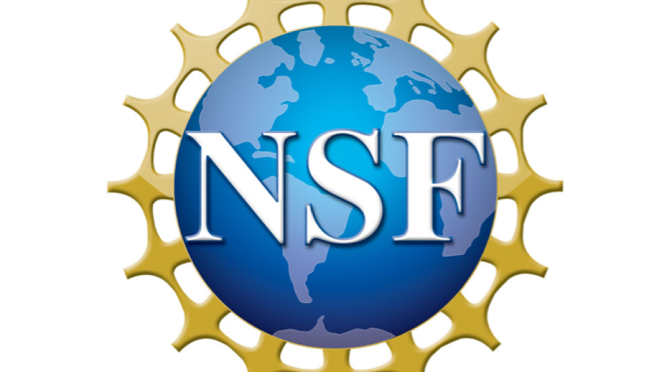 NSF logo