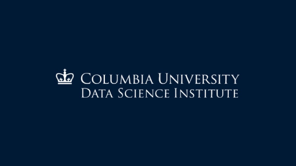 Data Science Institute logo
