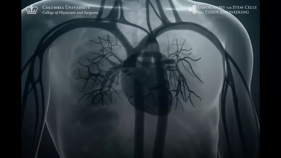 Regeneration of Severely Damaged Lungs