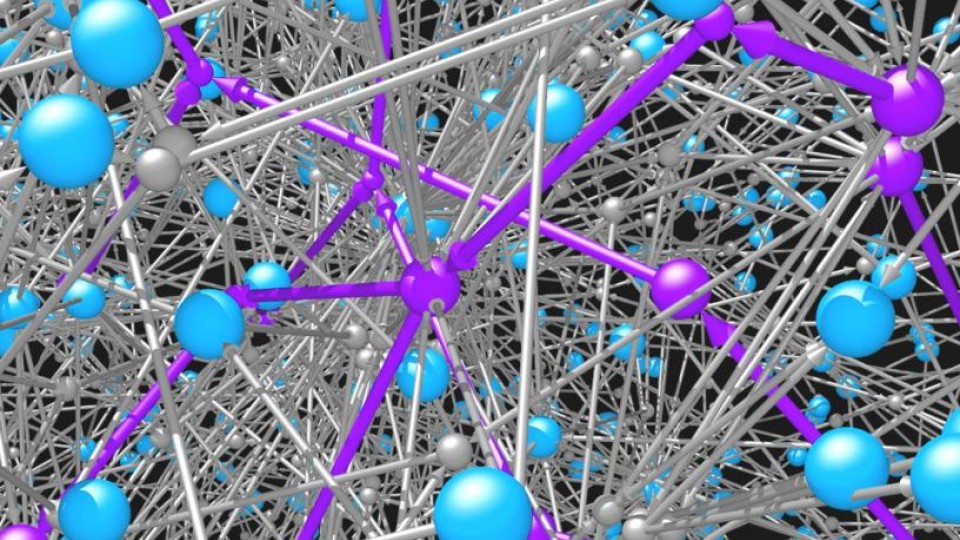 bishop-kowalik-network