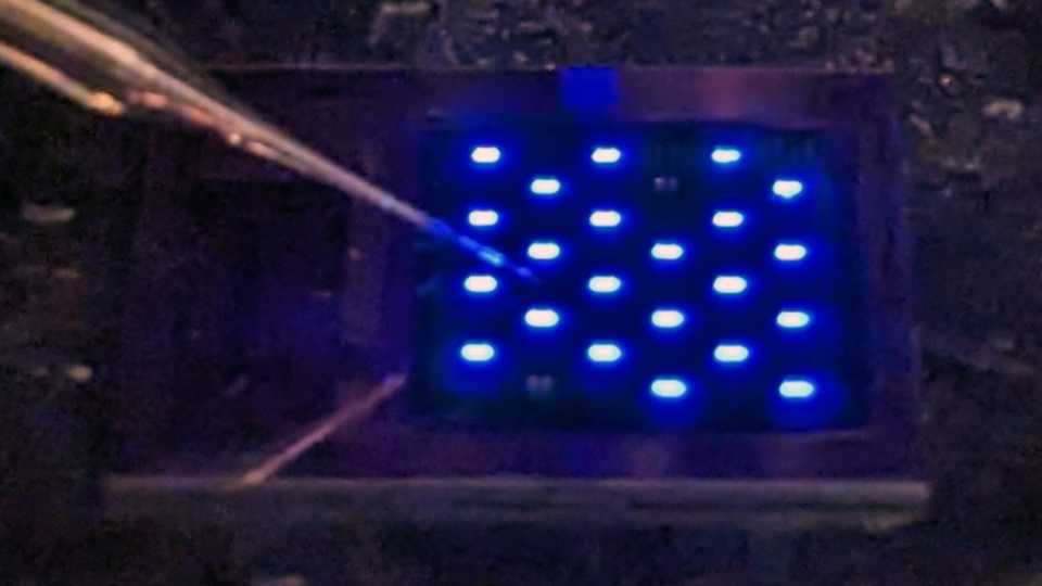 A device to treat obesity and diabetes.