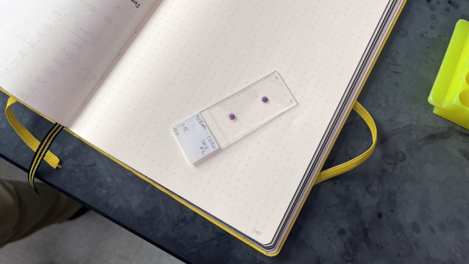 picture of sample from lab
