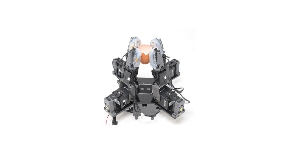 robotic hand holding an egg