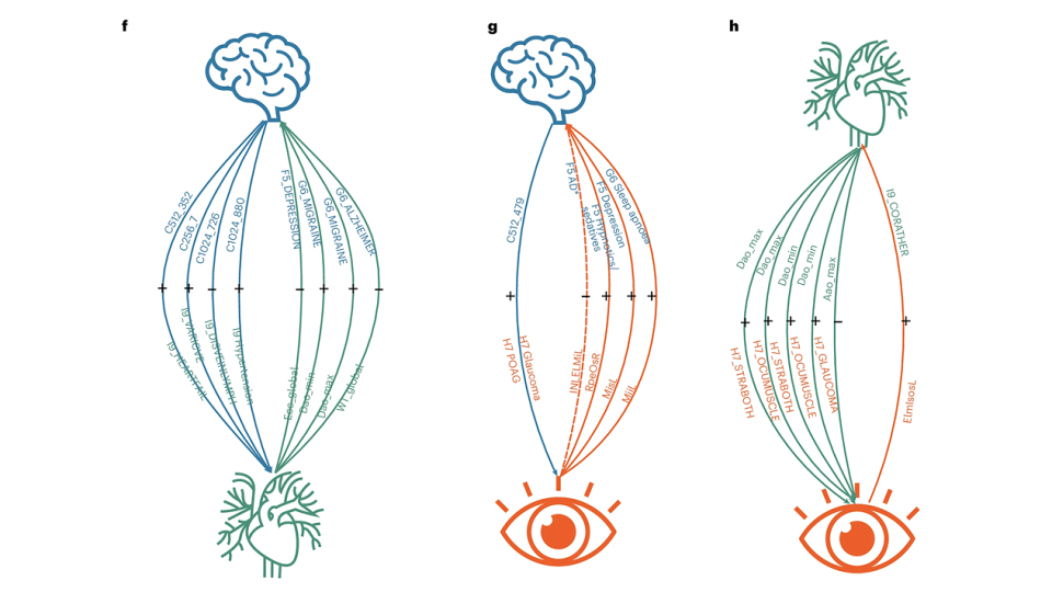 3 visuals, labeled F, G, and H, describing Across brain–heart, brain–eye, and heart–eye trait pairs, thousands of PSCs and dozens of IDPs and diseases were tested bidirectionally for causal links, with solid or dashed arrows marking stringency levels and “+”/“–” indicating the direction of significant associations.