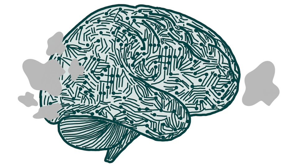 illustrative image of a brain
