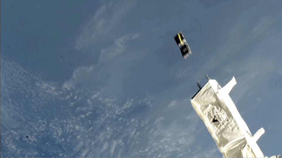 A Roaree figurine launched into outer space from a rocket over a blue sky