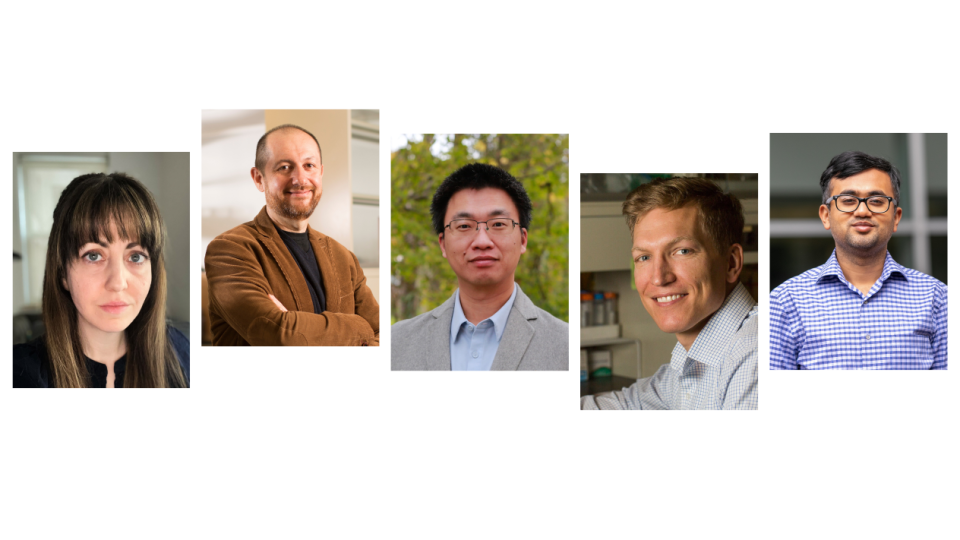 Headshots of five Columbia Engineering faculty members whose projects received funding awards: a woman with long dark hair, a man with a shaved head and beard in a brown jacket, a man with glasses in an outdoor setting, a smiling man with reddish-brown hair, and a man with glasses in a checked shirt.