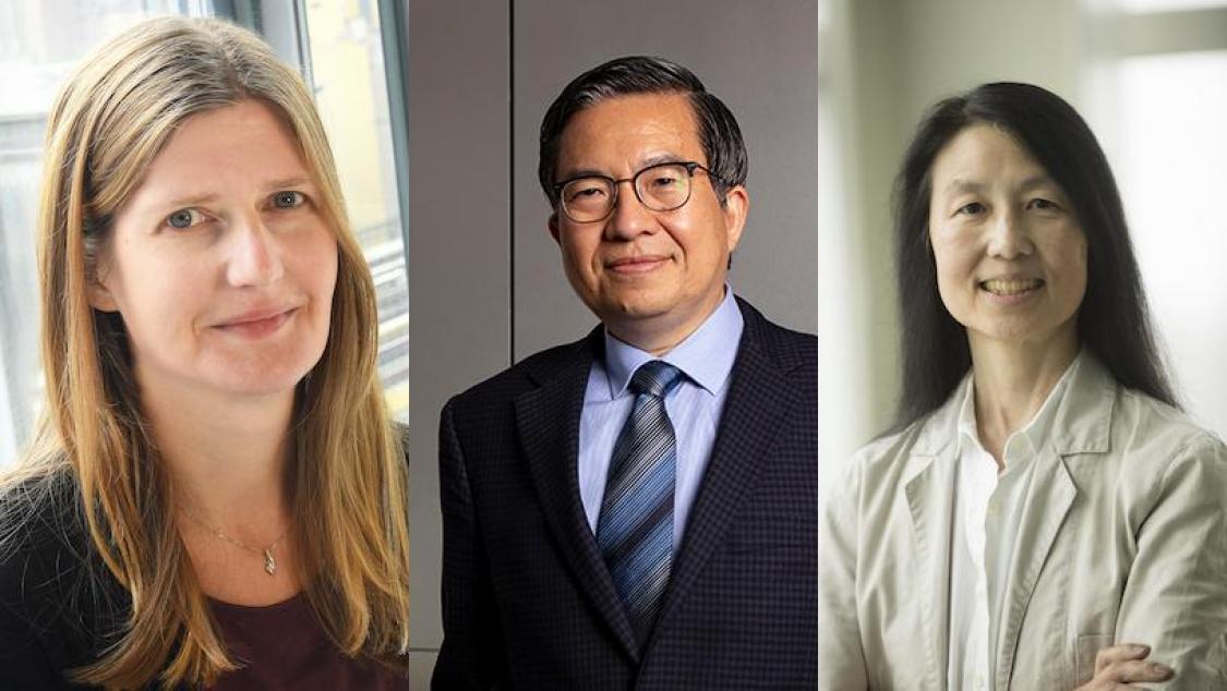 Shi-Fu Chang, Elizabeth Hillman, and Jeannette Wing