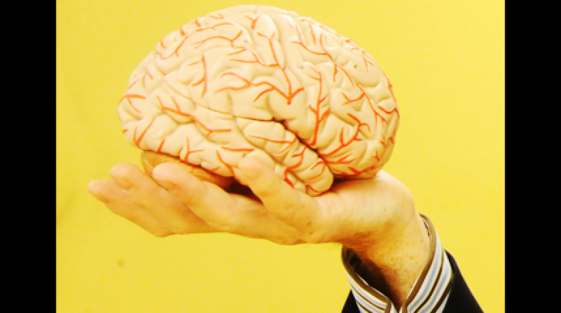 A hand holding a brain