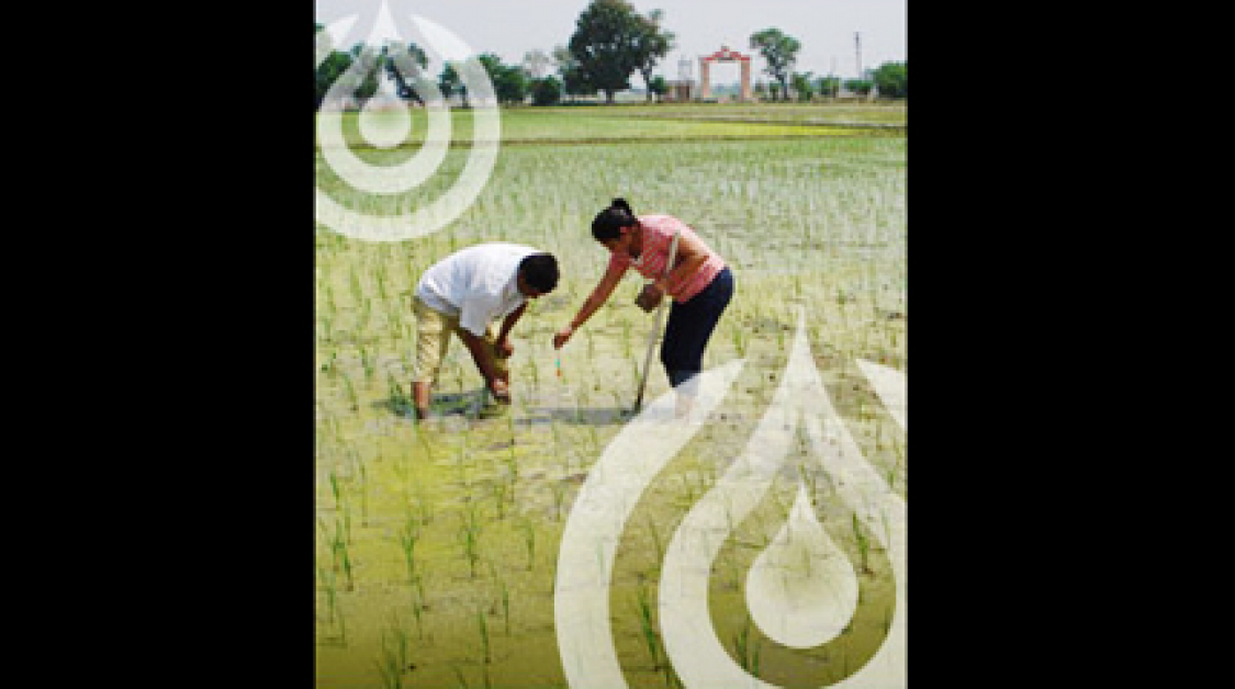 Two people in water