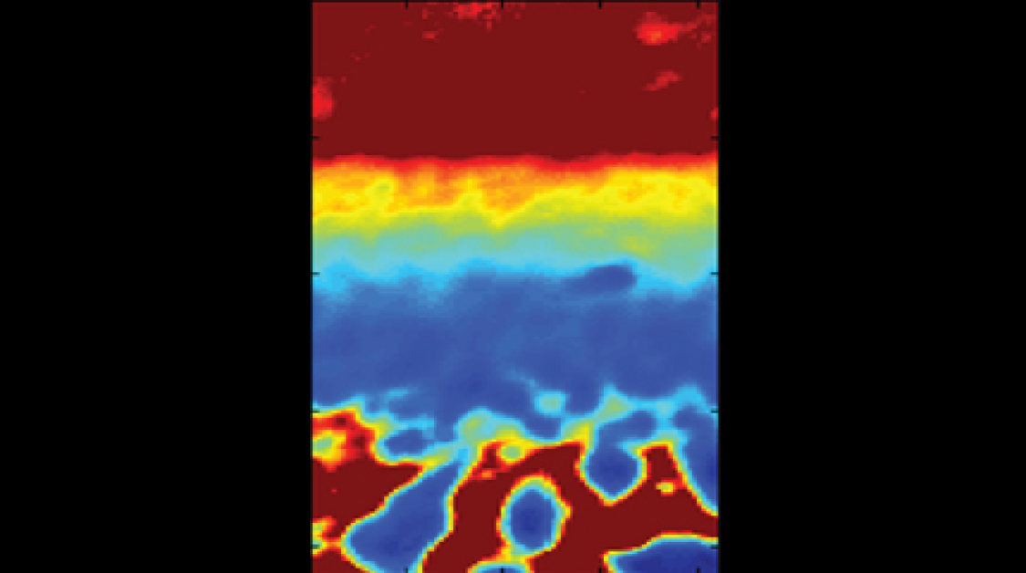 A scan of tissue