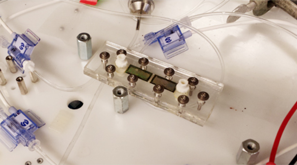 Lab equipment