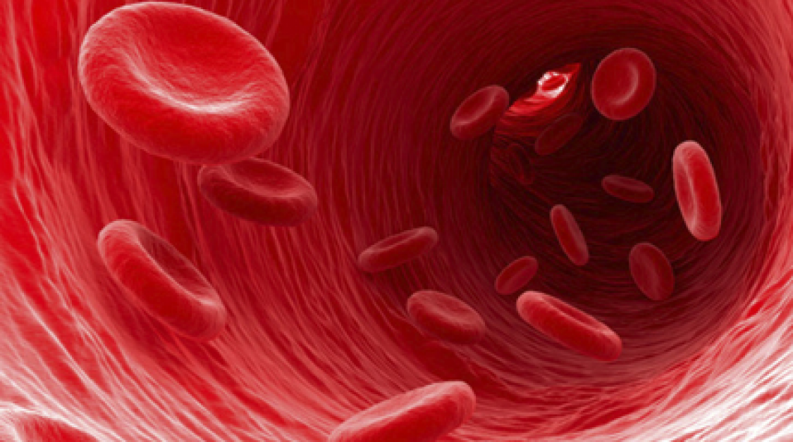 Blood Cells