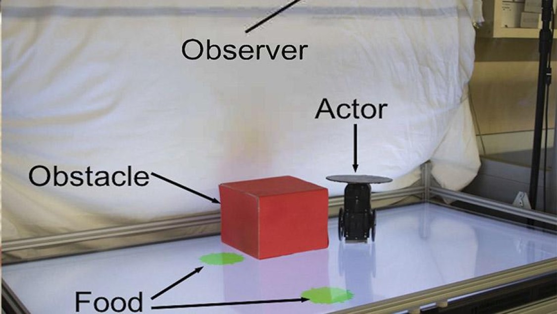 An image of a robotics laboratory