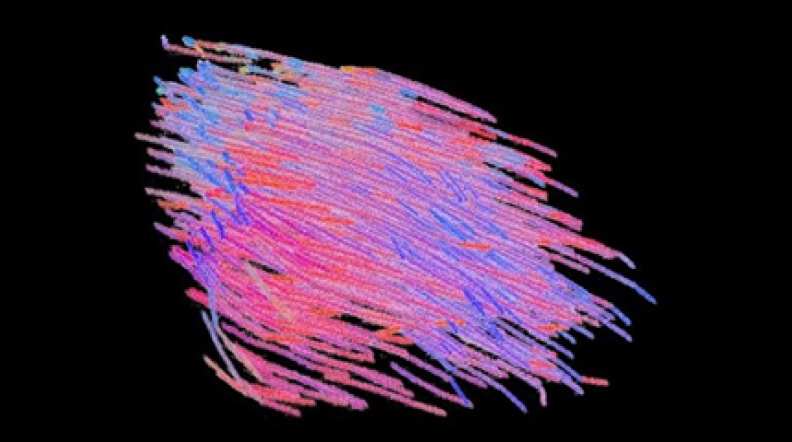 An illustrative display of color