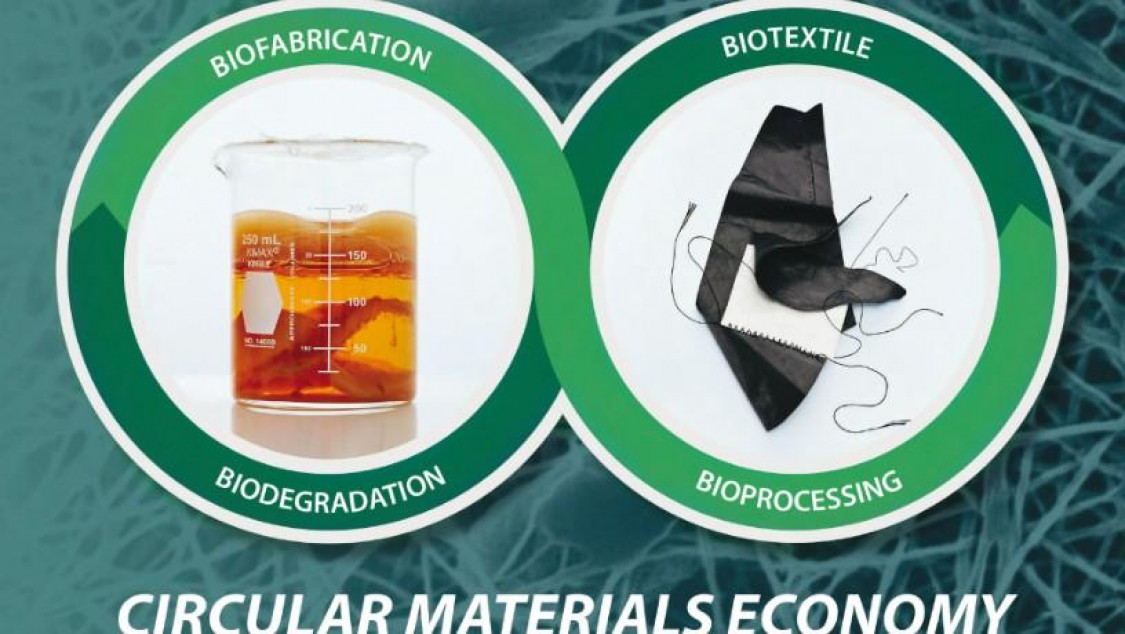 A diagram of Biomaterials showing the process of their lifecycle