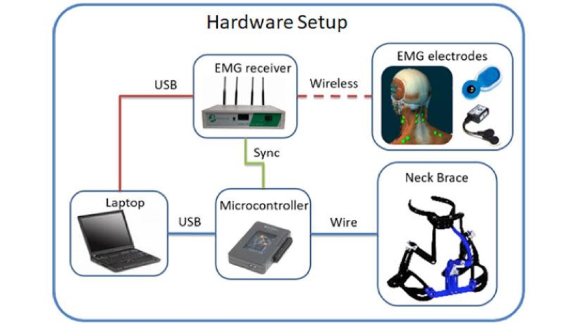 diagram of neck brace system
