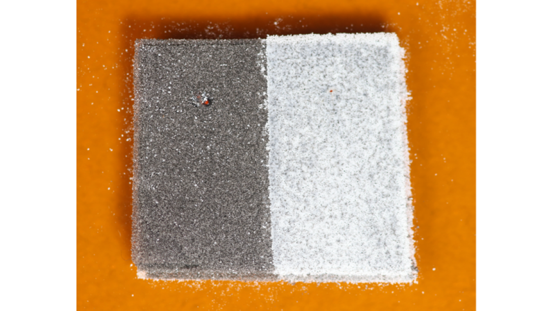 Dual thermoplastic SLS print sample.