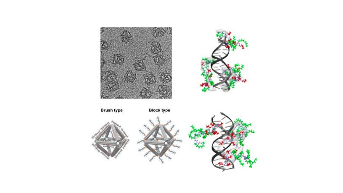 octahedral-shaped_dna_816