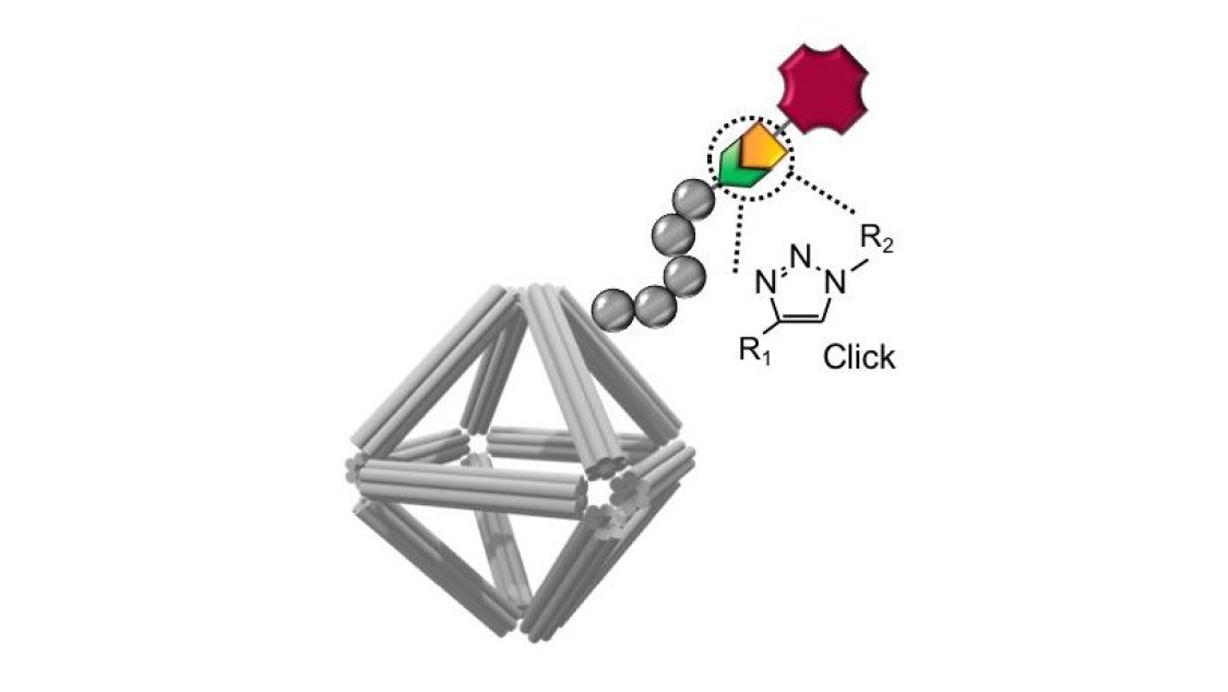 surface_functionalization_816