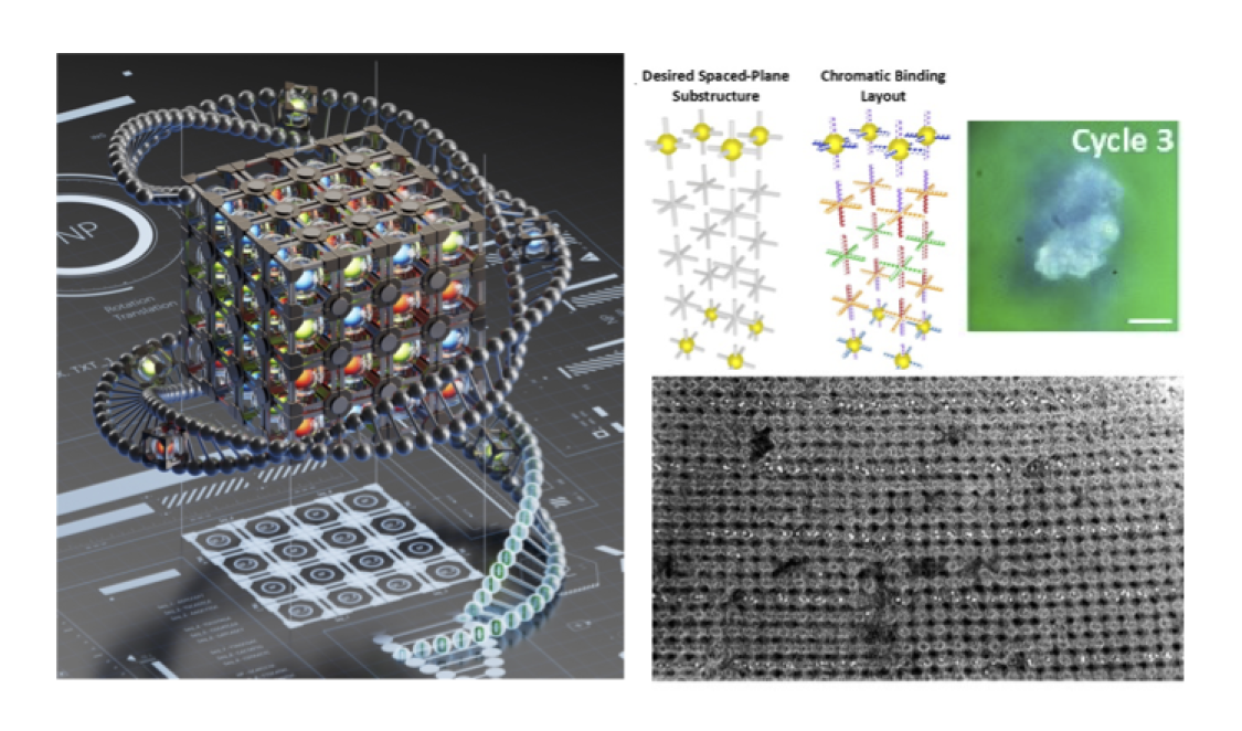 Artistic rendering of the assembly of designed 3D hierarchically ordered nanoparticle structures using DNA-programmable bonds (left). The desired structure and its design with optical reflection properties, and an image of formed material with reflective characteristics (top right). Electron microscopy image of the realized structure with nanoparticles arranged in lines, separated at half-wavelength of light (bottom right).