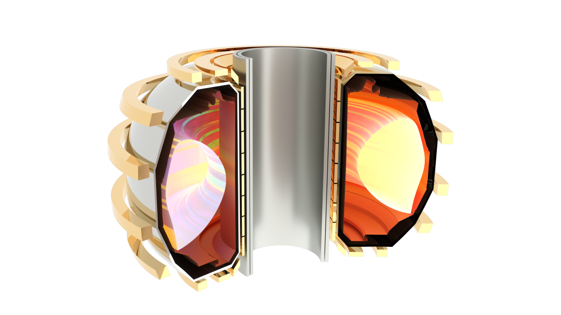 3D cutaway rendering of a D-shaped plasma inside a donut-shaped tokamak, showing the straight side facing the central opening.